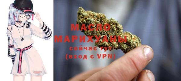 дмт Абаза