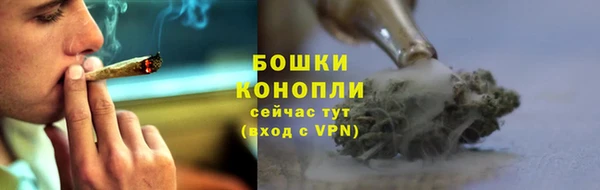 дмт Абаза