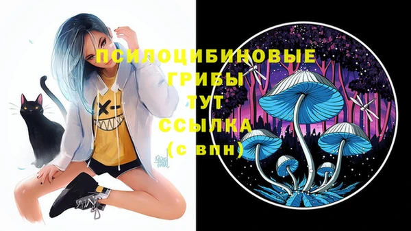 кокс Пересвет