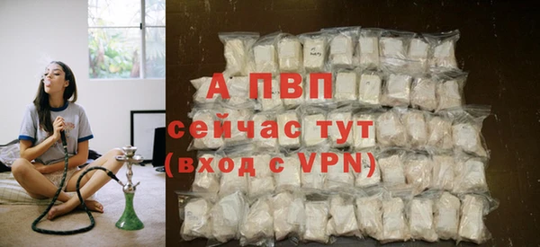 дмт Абаза